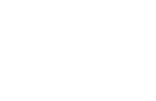 BlackSmith Home